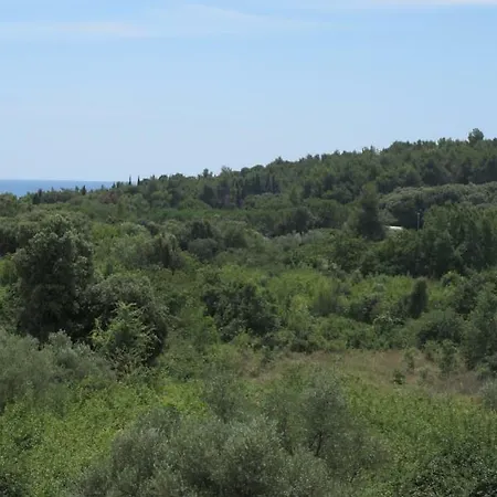 Apartment Vera&toni Rovinj