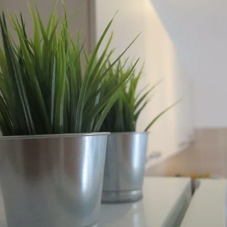 Vera&toni Ровинь